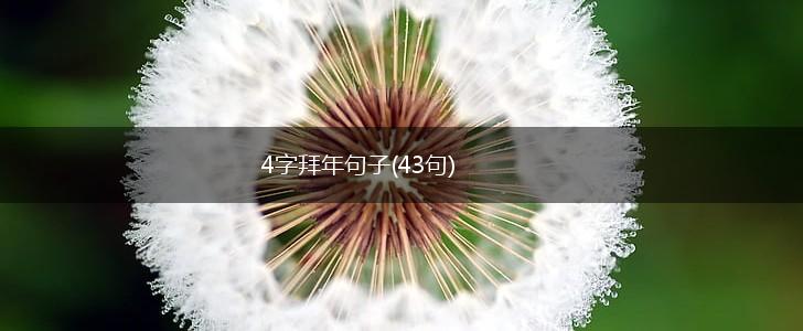 4字拜年句子(43句),第1张