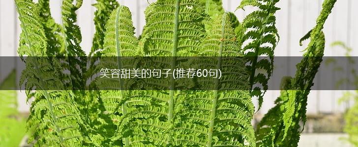 笑容甜美的句子(推荐60句),第1张