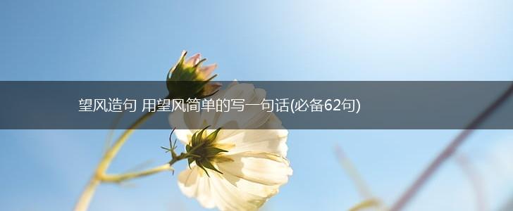 望风造句 用望风简单的写一句话(必备62句),第1张