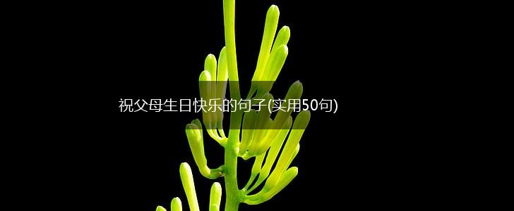 祝父母生日快乐的句子(实用50句),第1张