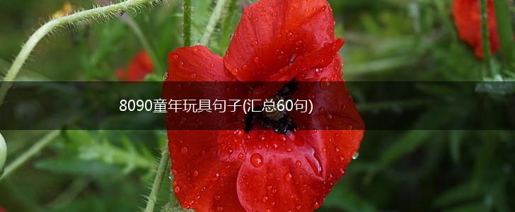8090童年玩具句子(汇总60句),第1张