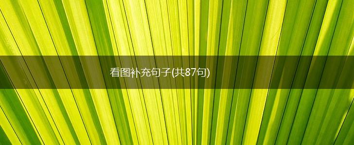 看图补充句子(共87句),第1张