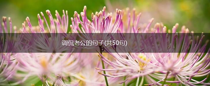 调侃老公的句子(共50句),第1张