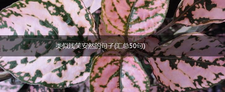 类似浅笑安然的句子(汇总50句),第1张