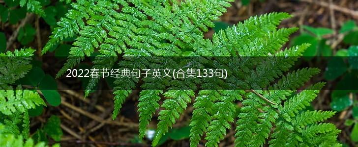 2022春节经典句子英文(合集133句),第1张