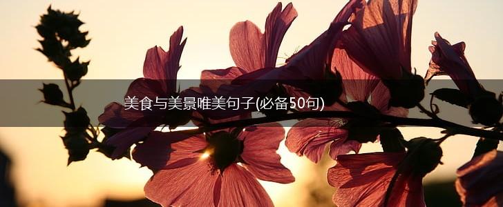 美食与美景唯美句子(必备50句),第1张