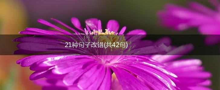21种句子改错(共42句),第1张