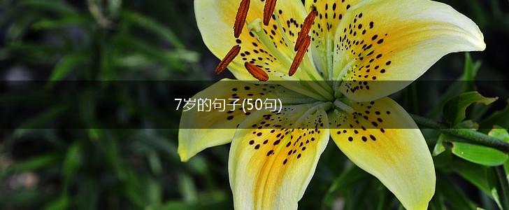 7岁的句子(50句),第1张