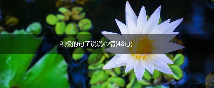 积极的句子说说心情(48句),第1张