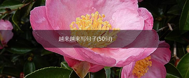越来越来写句子(50句),第1张