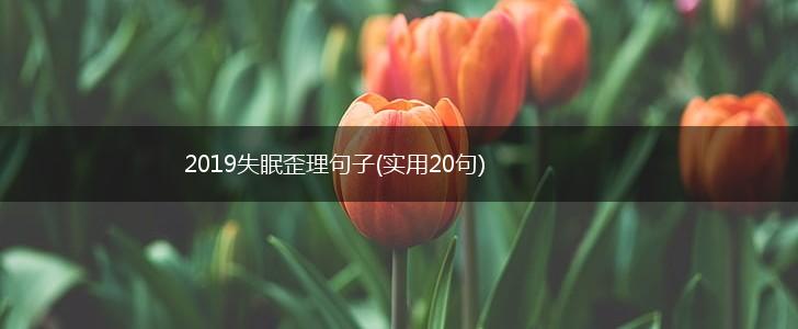 2019失眠歪理句子(实用20句),第1张