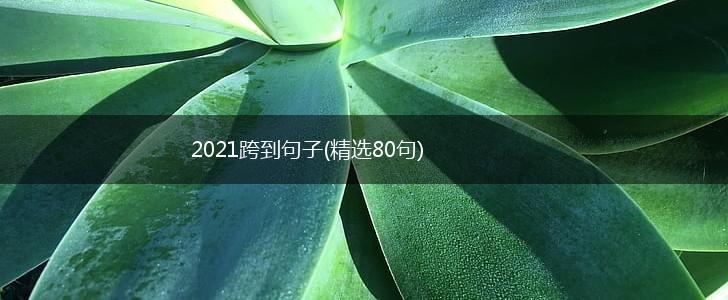 2021跨到句子(精选80句),第1张