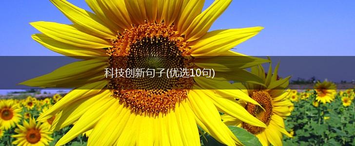 科技创新句子(优选10句),第1张