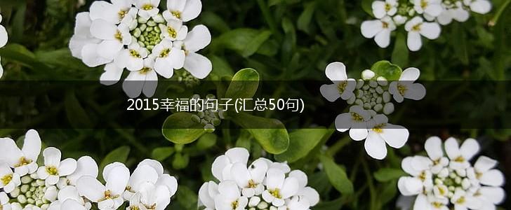 2015幸福的句子(汇总50句),第1张