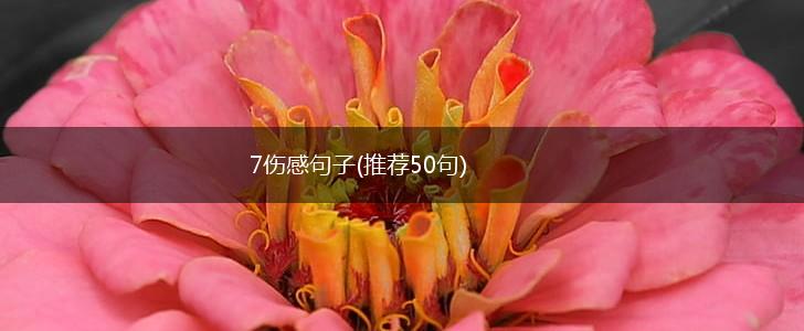 7伤感句子(推荐50句),第1张