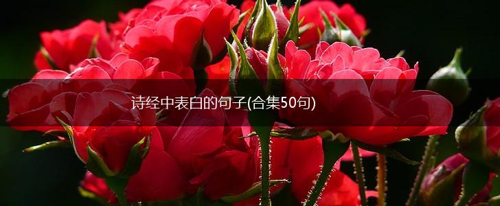 诗经中表白的句子(合集50句),第1张