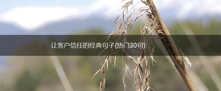 让客户信任的经典句子(热门30句),第1张