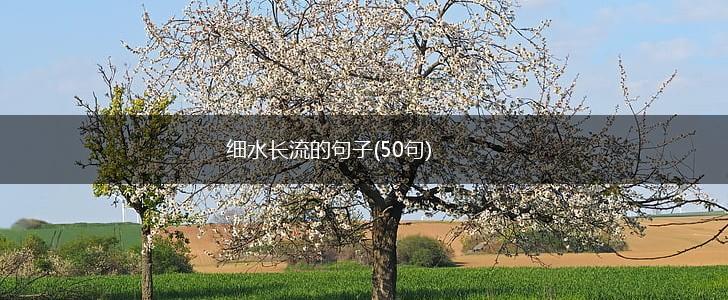 细水长流的句子(50句),第1张