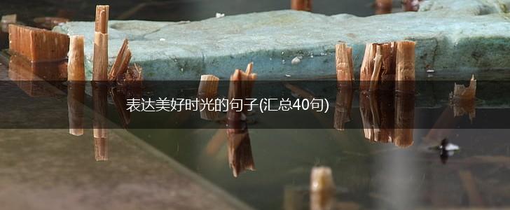 表达美好时光的句子(汇总40句),第1张