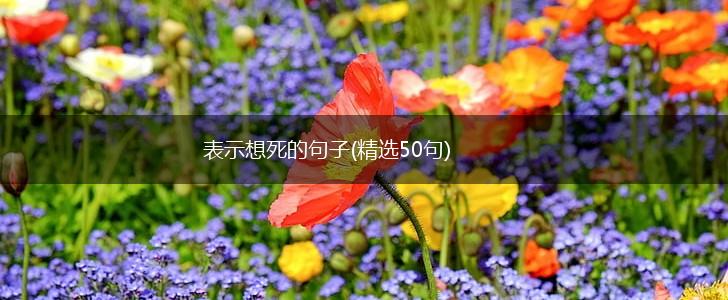 表示想死的句子(精选50句),第1张