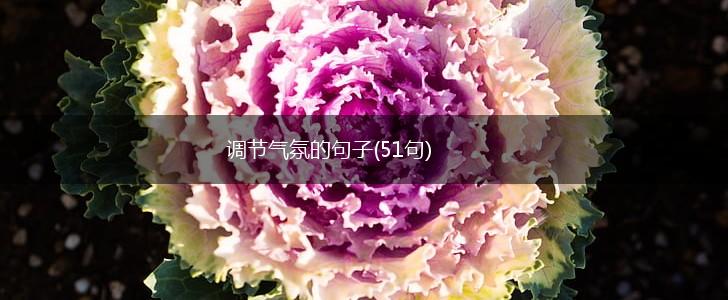 调节气氛的句子(51句),第1张