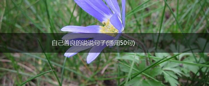 自己善良的说说句子(通用50句),第1张