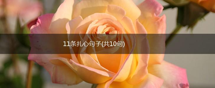 11条扎心句子(共10句),第1张