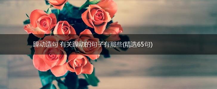 躁动造句 有关躁动的句子有那些(精选65句),第1张