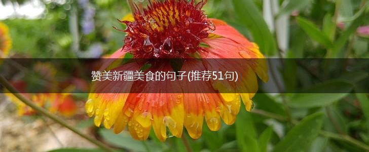 赞美新疆美食的句子(推荐51句),第1张