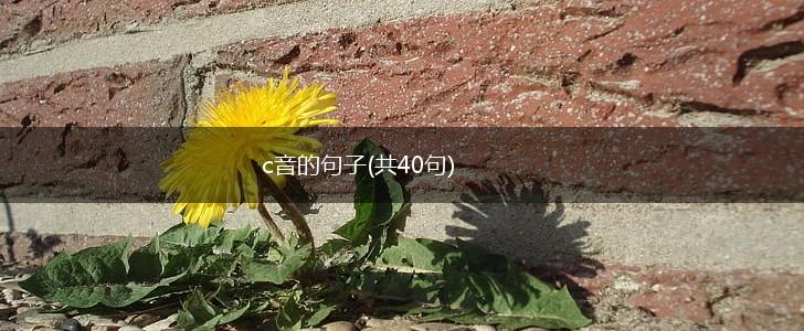 c音的句子(共40句),第1张