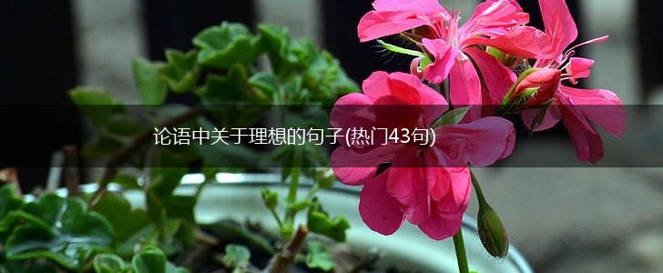 论语中关于理想的句子(热门43句),第1张