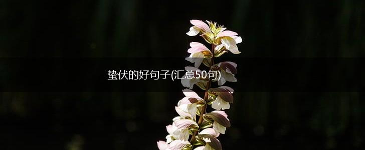 蛰伏的好句子(汇总50句),第1张