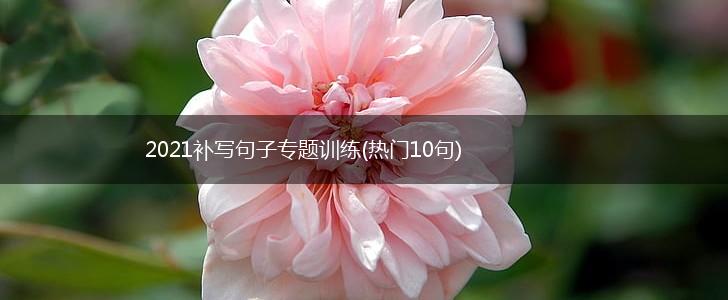 2021补写句子专题训练(热门10句),第1张