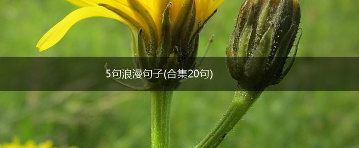 5句浪漫句子(合集20句),第1张
