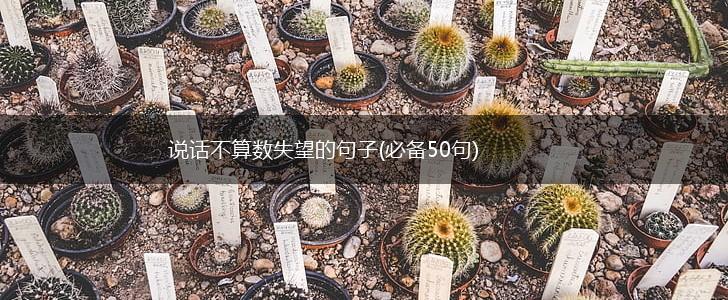 说话不算数失望的句子(必备50句),第1张