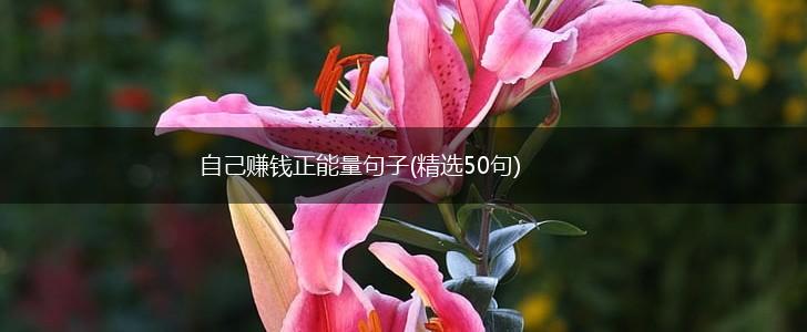 自己赚钱正能量句子(精选50句),第1张