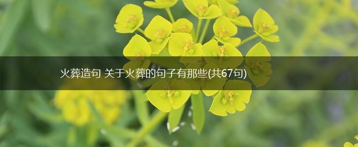 火葬造句 关于火葬的句子有那些(共67句),第1张