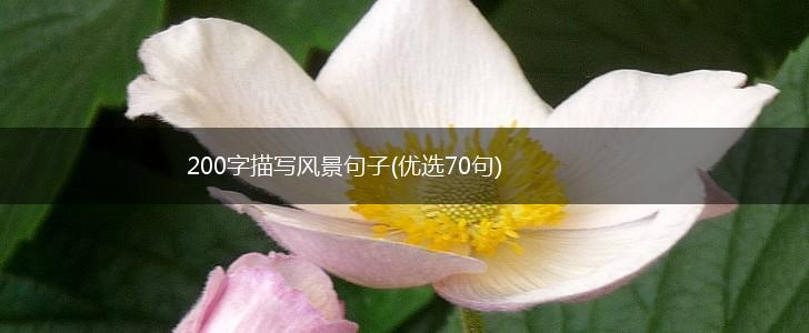 200字描写风景句子(优选70句),第1张