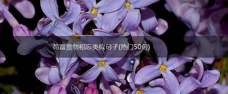 苟富贵勿相忘类似句子(热门50句),第1张