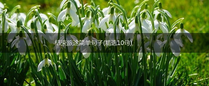 结束旅途简单句子(精选10句),第1张