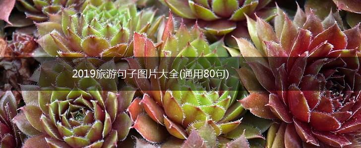 2019旅游句子图片大全(通用80句),第1张