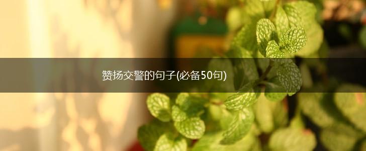 赞扬交警的句子(必备50句),第1张