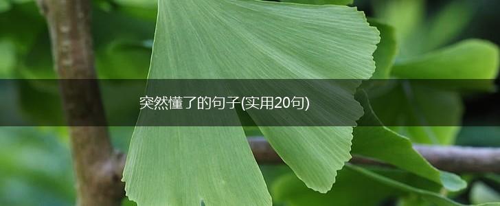 突然懂了的句子(实用20句),第1张