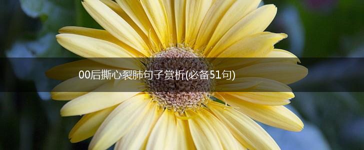00后撕心裂肺句子赏析(必备51句),第1张