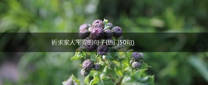 祈求家人平安的句子(热门50句),第1张