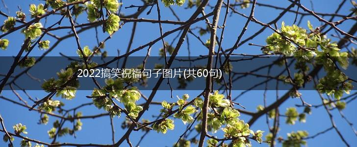 2022搞笑祝福句子图片(共60句),第1张