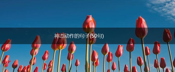 神态动作的句子(50句),第1张
