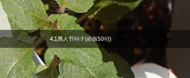 4.1愚人节句子(必备50句),第1张