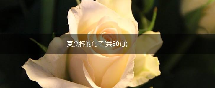 莫贪杯的句子(共50句),第1张
