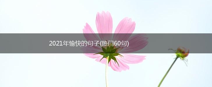 2021年愉快的句子(热门60句),第1张